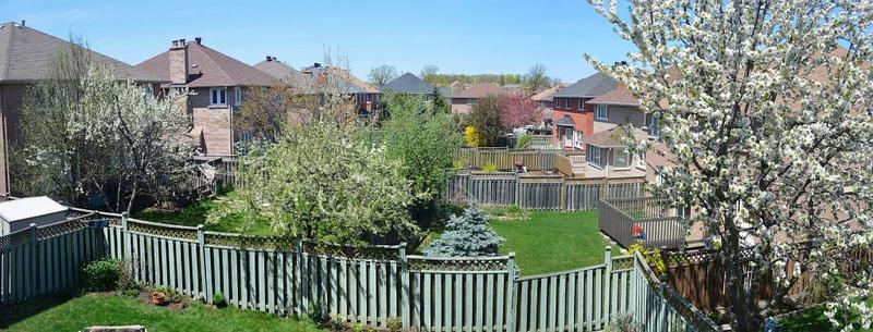 DSC_0414 Stitch_e.jpg