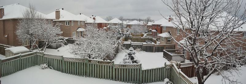 DSC_0387 Stitch_cropped